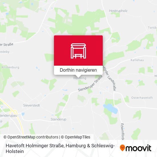 Havetoft Holminger Straße Karte