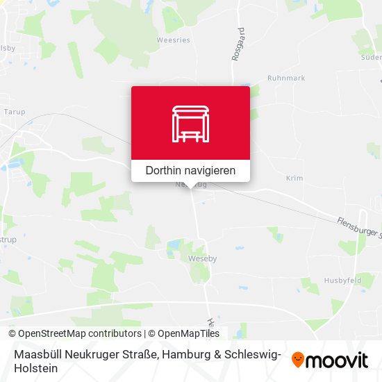 Maasbüll Neukruger Straße Karte