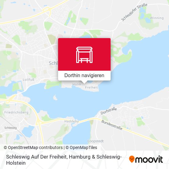 Schleswig Auf Der Freiheit Karte