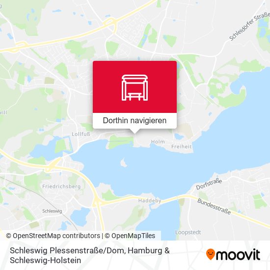 Schleswig Plessenstraße/Dom Karte