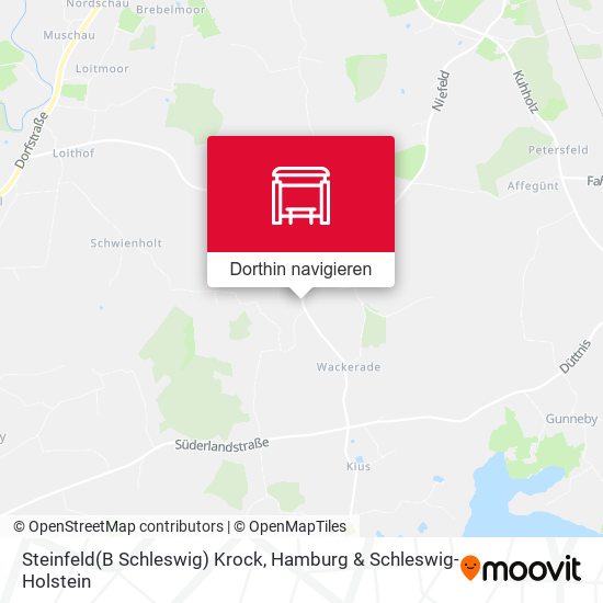 Steinfeld(B Schleswig) Krock Karte