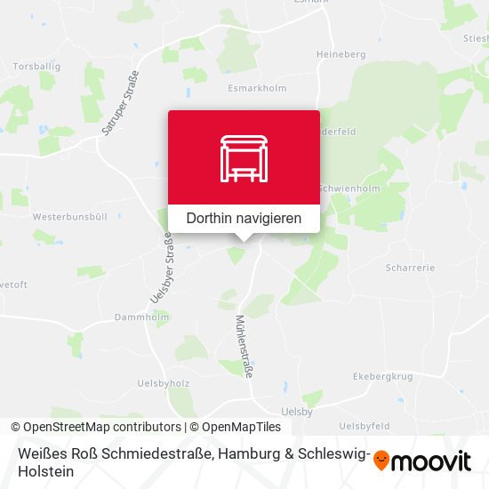 Weißes Roß Schmiedestraße Karte