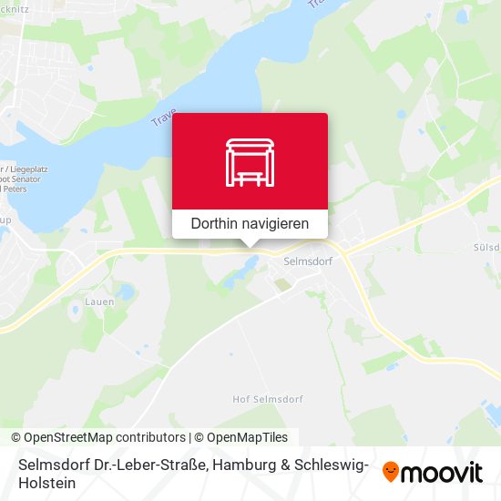 Selmsdorf Dr.-Leber-Straße Karte
