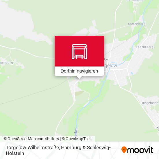 Torgelow Wilhelmstraße Karte