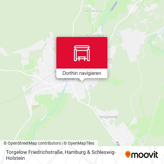 Torgelow Friedrichstraße Karte