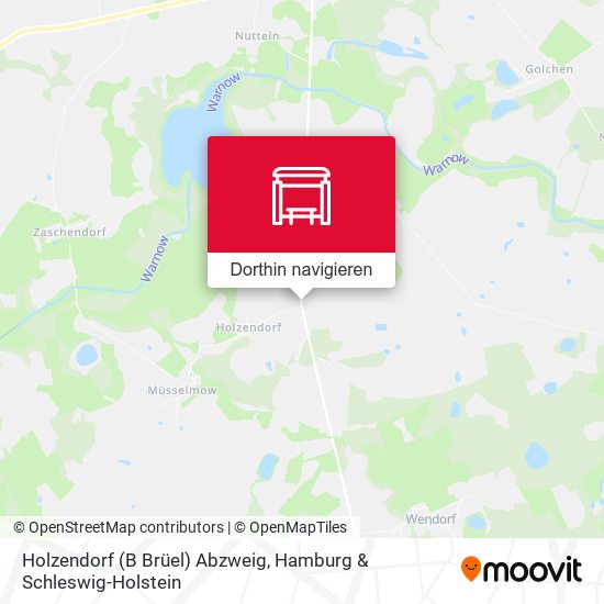 Holzendorf (B Brüel) Abzweig Karte