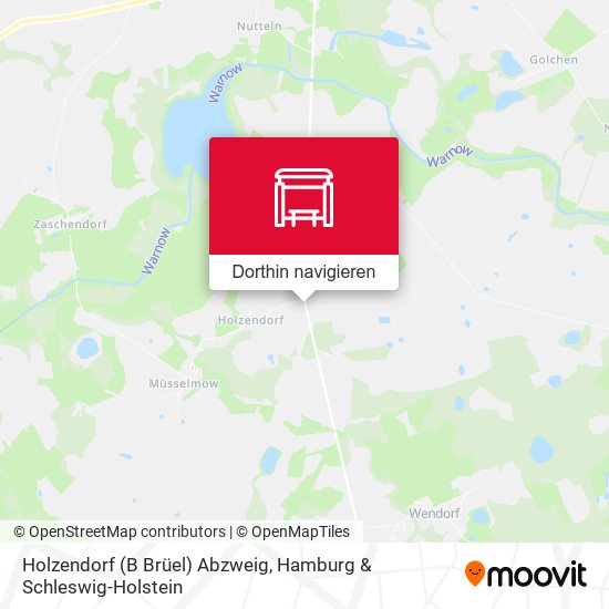 Holzendorf (B Brüel) Abzweig Karte