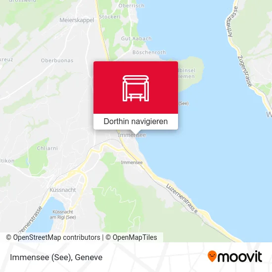 Immensee (See) Karte