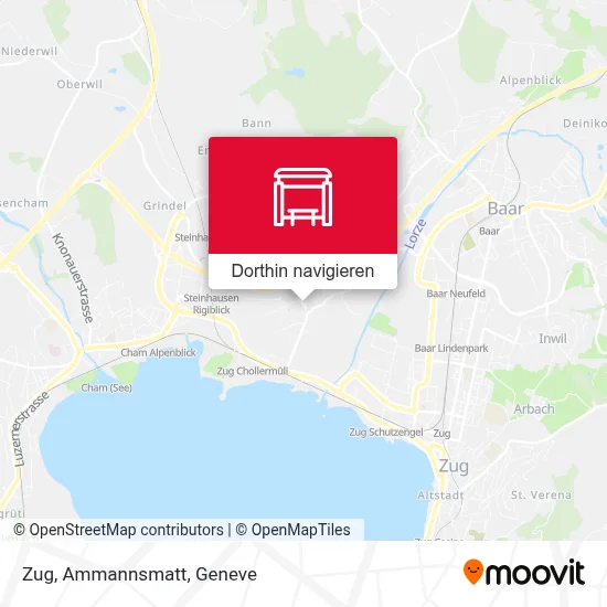 Zug, Ammannsmatt Karte