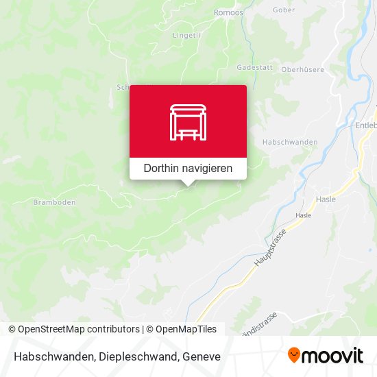 Habschwanden, Diepleschwand Karte