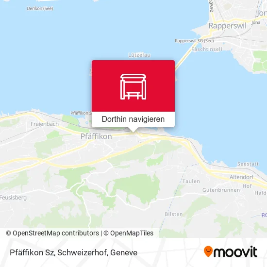 Pfäffikon Sz, Schweizerhof Karte