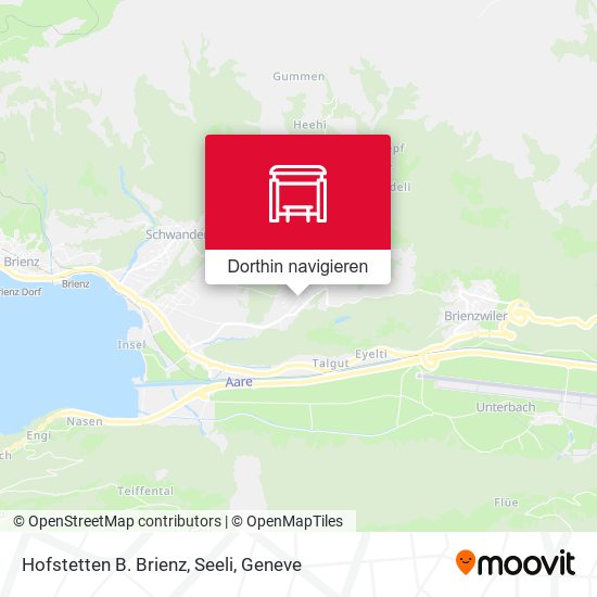 Hofstetten B. Brienz, Seeli Karte