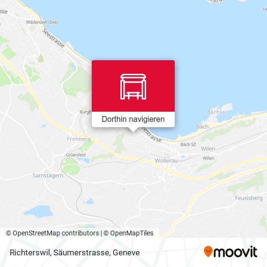 Richterswil, Säumerstrasse Karte