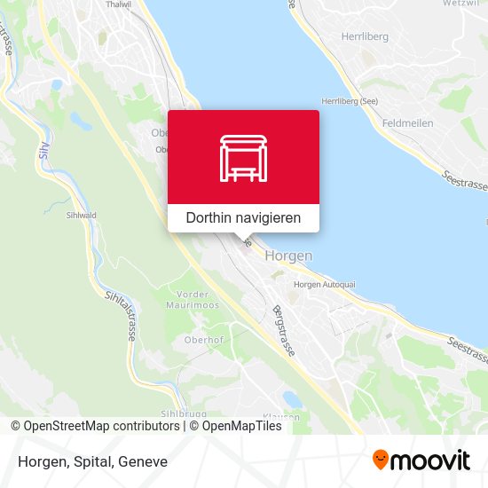 Horgen, Spital Karte