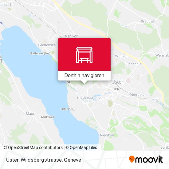 Uster, Wildsbergstrasse Karte