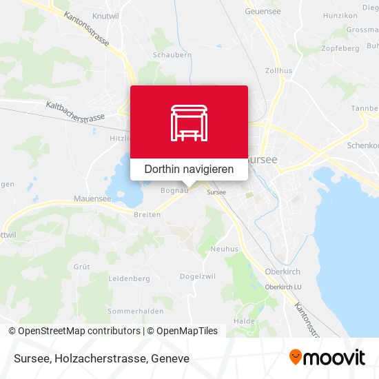 Sursee, Holzacherstrasse Karte