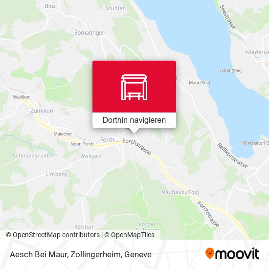Aesch Bei Maur, Zollingerheim Karte