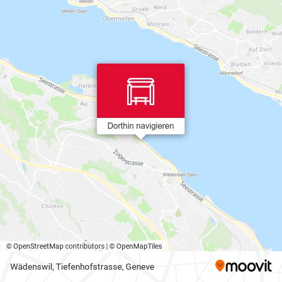 Wädenswil, Tiefenhofstrasse Karte