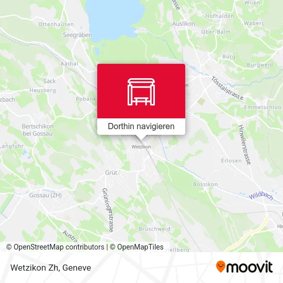 Wetzikon Zh Karte