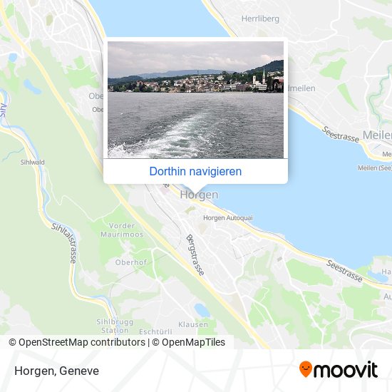 Horgen Karte