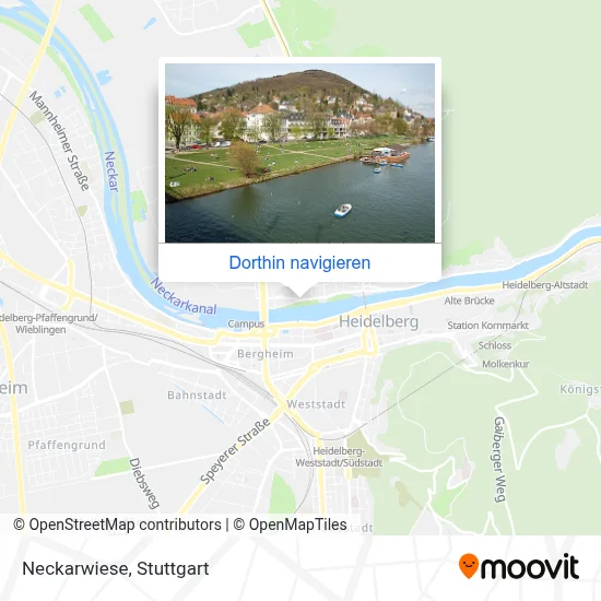 Neckarwiese Karte