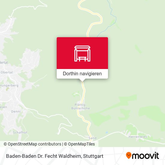 Baden-Baden Dr. Fecht Waldheim Karte
