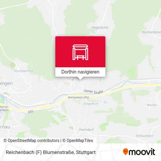 Reichenbach (F) Blumenstraße Karte