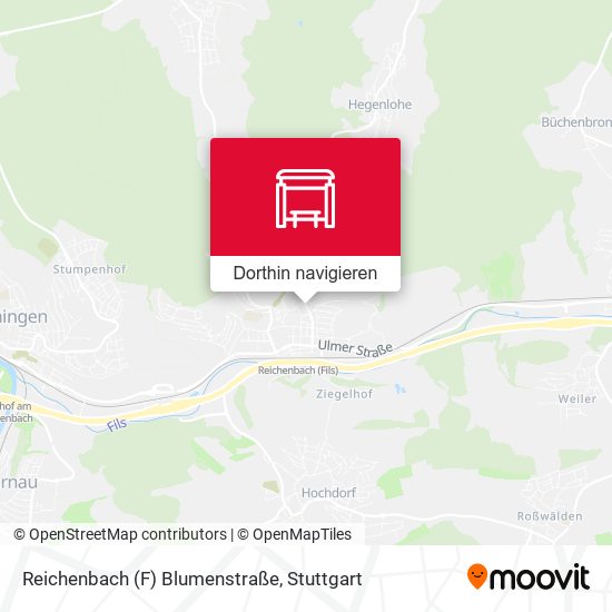 Reichenbach (F) Blumenstraße Karte