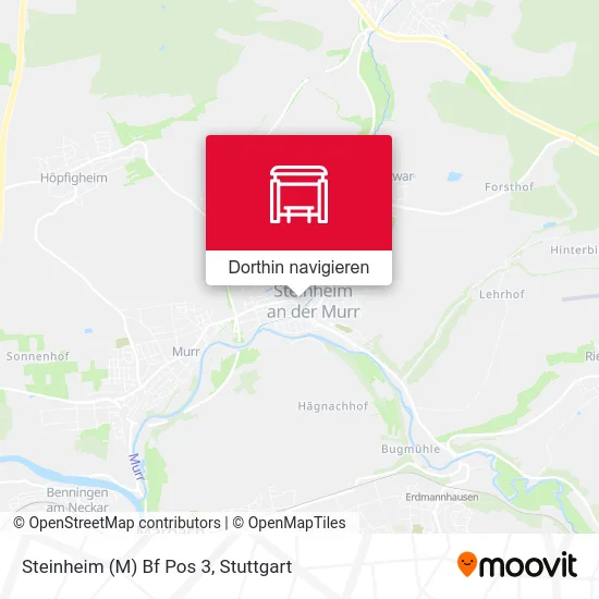 Steinheim (M) Bf Pos 3 Karte