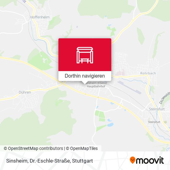 Sinsheim, Dr.-Eschle-Straße Karte