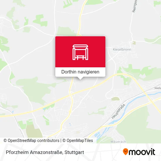 Pforzheim Amazonstraße Karte