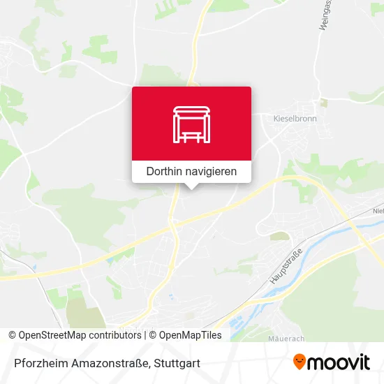 Pforzheim Amazonstraße Karte