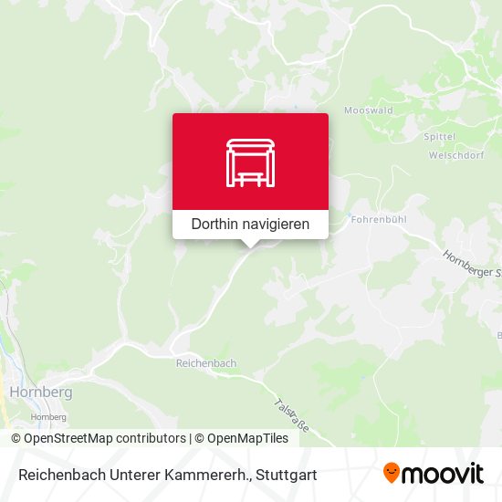 Reichenbach Unterer Kammererh. Karte