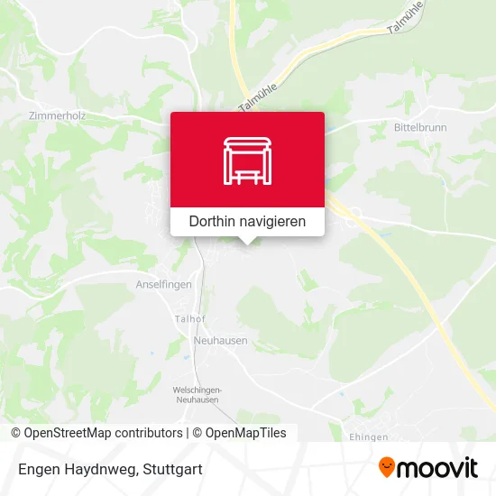 Engen Haydnweg Karte