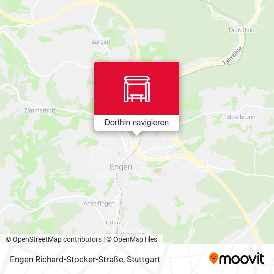Engen Richard-Stocker-Straße Karte