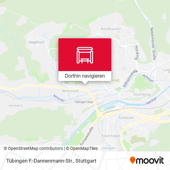 Tübingen F.-Dannenmann-Str. Karte