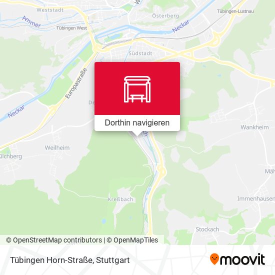 Tübingen Horn-Straße Karte