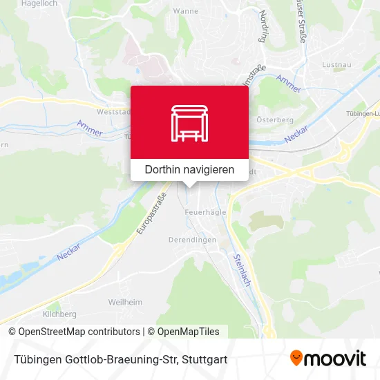 Tübingen Gottlob-Braeuning-Str Karte