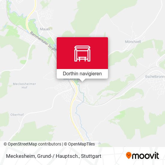 Meckesheim, Grund-/ Hauptsch. Karte
