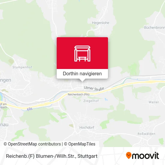 Reichenb.(F) Blumen-/Wilh.Str. Karte