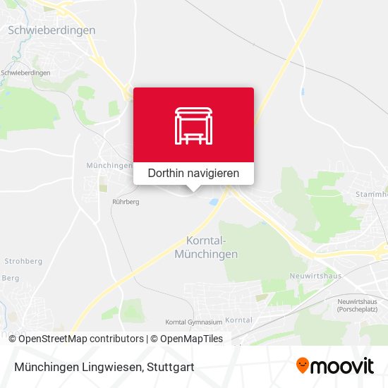 Münchingen Lingwiesen Karte