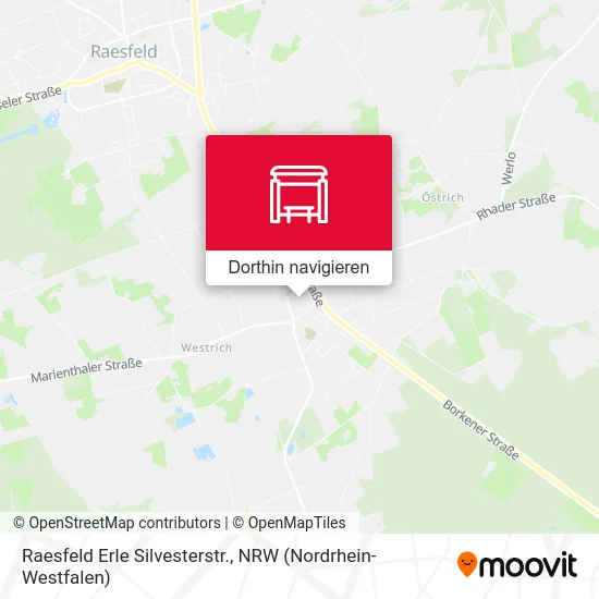 Raesfeld Erle Silvesterstr. Karte