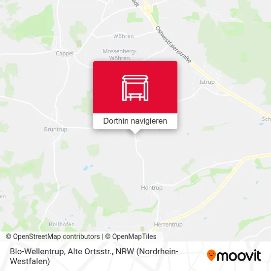 Blo-Wellentrup, Alte Ortsstr. Karte