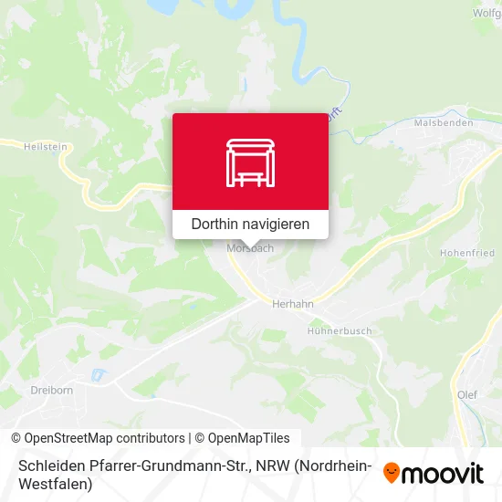 Schleiden Pfarrer-Grundmann-Str. Karte