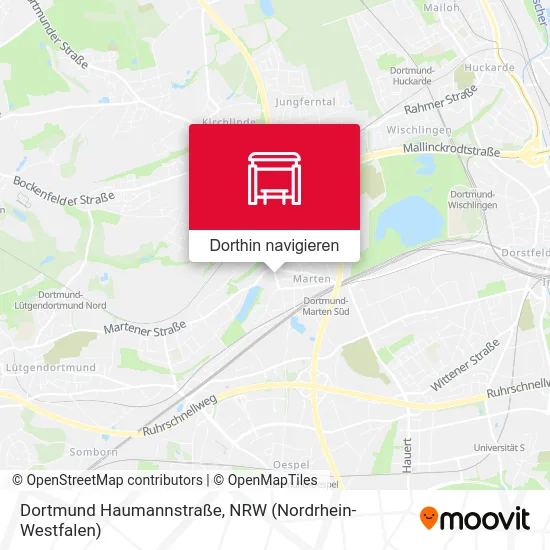 Dortmund Haumannstraße Karte