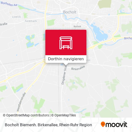 Bocholt Biemenh. Birkenallee Karte