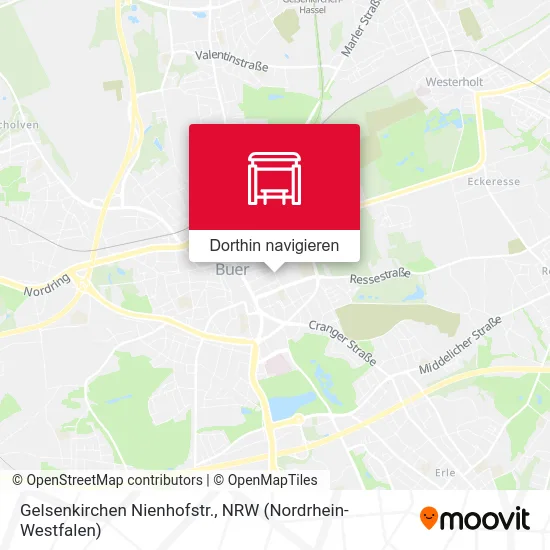 Gelsenkirchen Nienhofstr. Karte