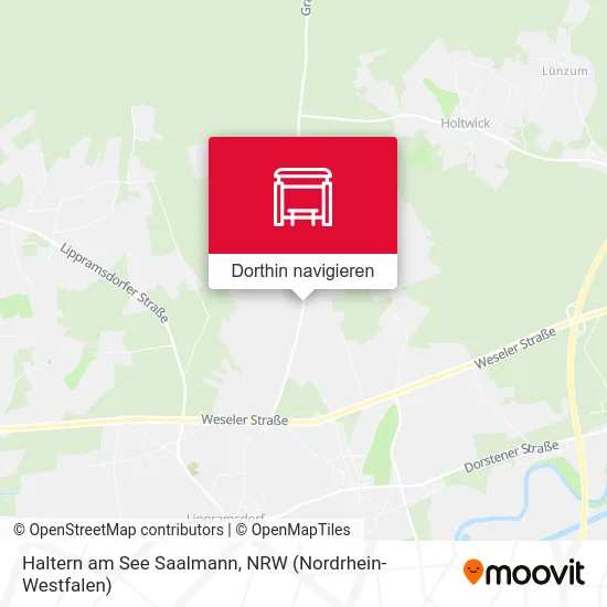 Haltern am See Saalmann Karte