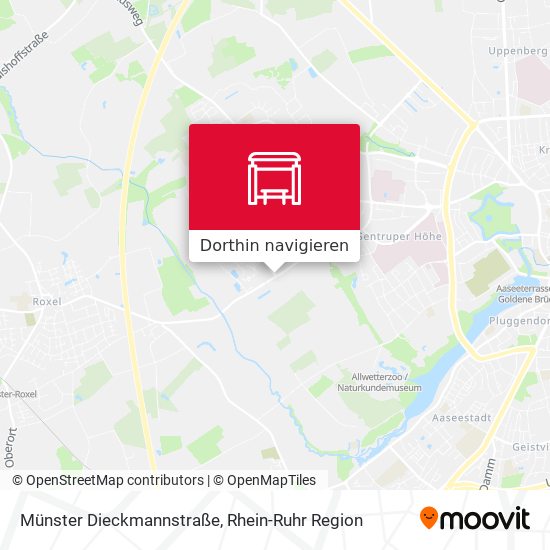Münster Dieckmannstraße Karte