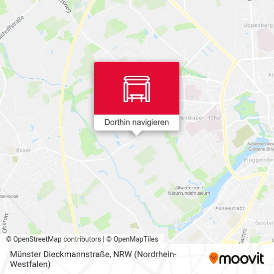 Münster Dieckmannstraße Karte